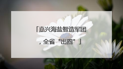 嘉兴海盐智造军团，全省“出圈”