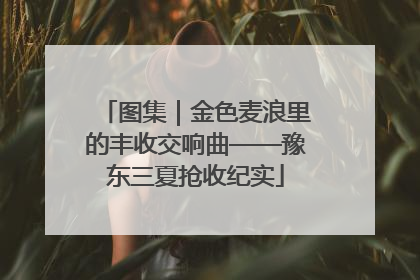 图集｜金色麦浪里的丰收交响曲——豫东三夏抢收纪实
