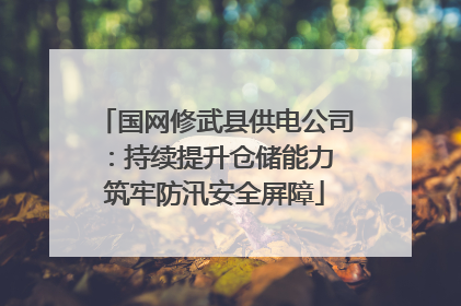 国网修武县供电公司：持续提升仓储能力 筑牢防汛安全屏障