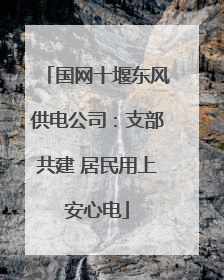国网十堰东风供电公司：支部共建 居民用上安心电