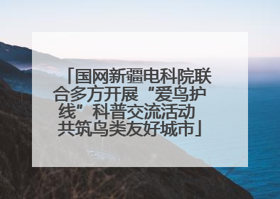国网新疆电科院联合多方开展“爱鸟护线”科普交流活动 共筑鸟类友好城市