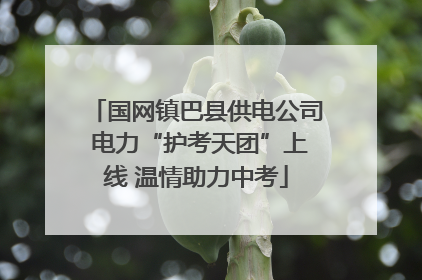 国网镇巴县供电公司 电力“护考天团”上线 温情助力中考