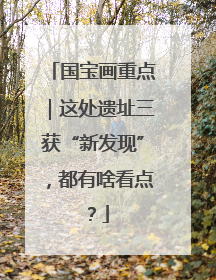 国宝画重点｜这处遗址三获“新发现”，都有啥看点？