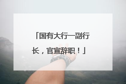 国有大行一副行长，官宣辞职！
