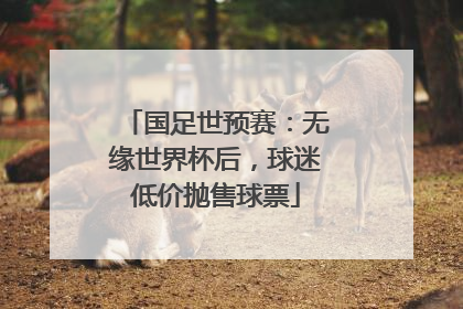 国足世预赛：无缘世界杯后，球迷低价抛售球票