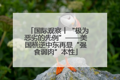 国际观察丨“极为恶劣的先例”——美国横逆中东再显“强食弱肉”本性