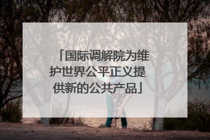 国际调解院为维护世界公平正义提供新的公共产品