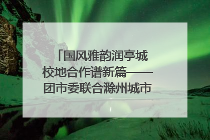 国风雅韵润亭城 校地合作谱新篇——团市委联合滁州城市职业学院助力传统文化“破圈”绽放