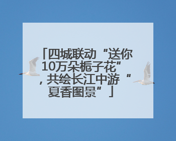 四城联动“送你10万朵栀子花”，共绘长江中游“夏香图景”