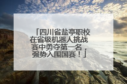 四川省盐亭职校在省级机器人挑战赛中勇夺第一名，强势入围国赛！