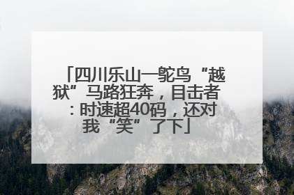 四川乐山一鸵鸟“越狱”马路狂奔，目击者：时速超40码，还对我“笑”了下