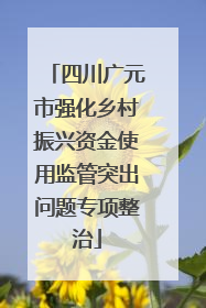 四川广元市强化乡村振兴资金使用监管突出问题专项整治