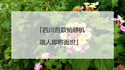 四川首款情感机器人即将面世