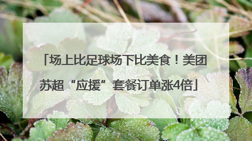 场上比足球场下比美食！美团苏超“应援”套餐订单涨4倍