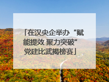 在汉央企举办“赋能提效 聚力突破”党建比武揭榜赛