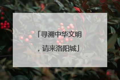 寻溯中华文明，请来洛阳城
