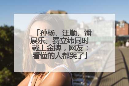 孙杨、汪顺、潘展乐、费立纬同时戴上金牌，网友：看懂的人都哭了