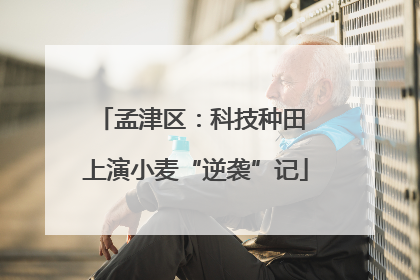 孟津区：科技种田 上演小麦“逆袭”记