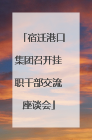 宿迁港口集团召开挂职干部交流座谈会