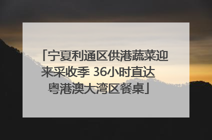 宁夏利通区供港蔬菜迎来采收季 36小时直达粤港澳大湾区餐桌