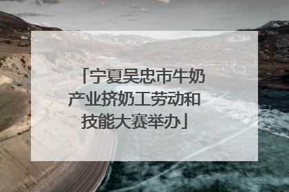 宁夏吴忠市牛奶产业挤奶工劳动和技能大赛举办