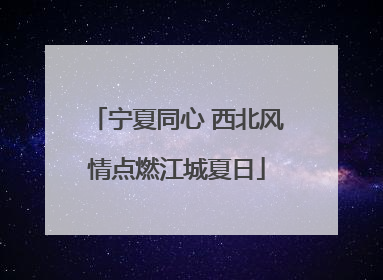 宁夏同心 西北风情点燃江城夏日