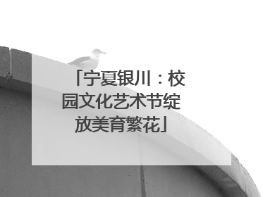 宁夏银川：校园文化艺术节绽放美育繁花