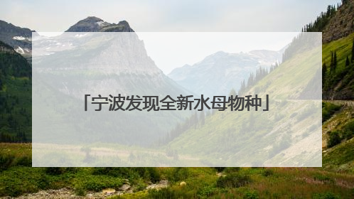 宁波发现全新水母物种
