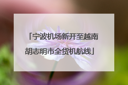 宁波机场新开至越南胡志明市全货机航线