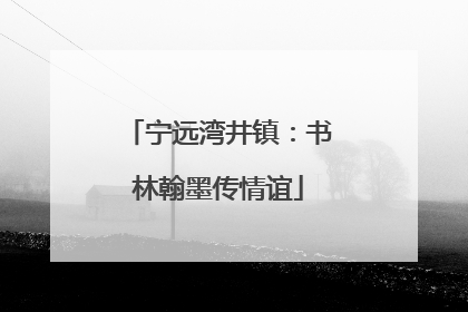 宁远湾井镇：书林翰墨传情谊