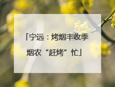 宁远：烤烟丰收季 烟农“赶烤”忙