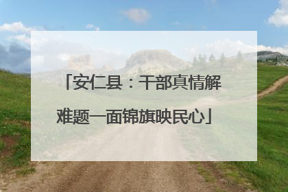 安仁县：干部真情解难题一面锦旗映民心