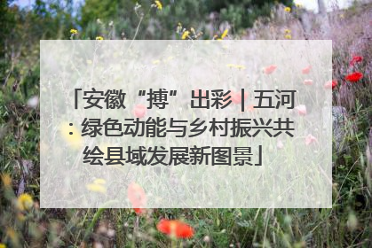 安徽“搏”出彩｜五河：绿色动能与乡村振兴共绘县域发展新图景
