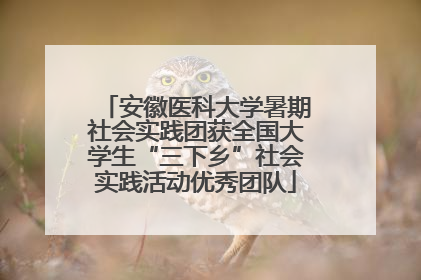 安徽医科大学暑期社会实践团获全国大学生“三下乡”社会实践活动优秀团队