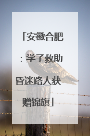 安徽合肥：学子救助昏迷路人获赠锦旗