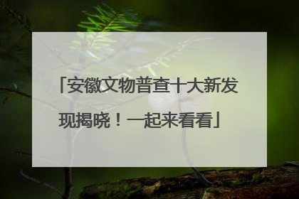 安徽文物普查十大新发现揭晓！一起来看看