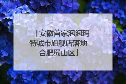 安徽首家泡泡玛特城市旗舰店落地合肥蜀山区