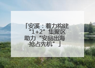 安溪：着力构建“1+2”集聚区 助力“安品出海·抢占先机”