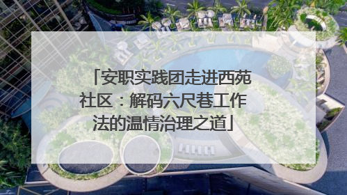 安职实践团走进西苑社区：解码六尺巷工作法的温情治理之道