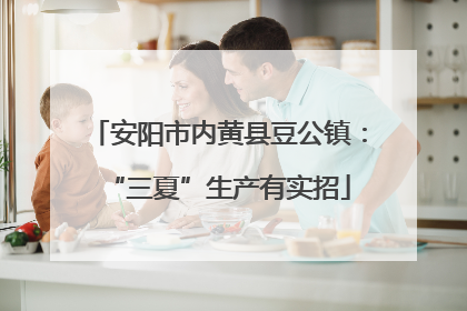 安阳市内黄县豆公镇：“三夏”生产有实招