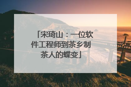 宋琦山：一位软件工程师到茶乡制茶人的蝶变