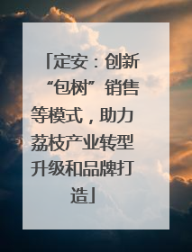 定安：创新“包树”销售等模式，助力荔枝产业转型升级和品牌打造