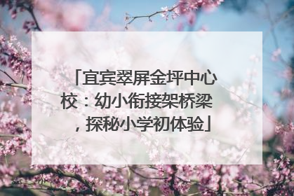 宜宾翠屏金坪中心校：幼小衔接架桥梁，探秘小学初体验
