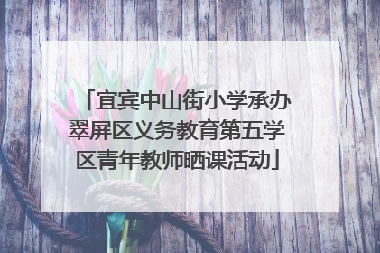 宜宾中山街小学承办翠屏区义务教育第五学区青年教师晒课活动