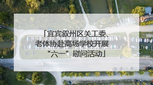 宜宾叙州区关工委、老体协赴高场学校开展“六一”慰问活动
