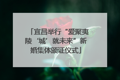 宜昌举行“爱聚夷陵‘城’就未来”新婚集体颁证仪式