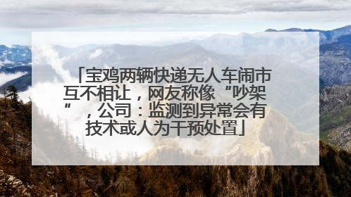 宝鸡两辆快递无人车闹市互不相让，网友称像“吵架”，公司：监测到异常会有技术或人为干预处置
