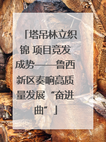 塔吊林立织锦 项目竞发成势——鲁西新区奏响高质量发展“奋进曲”