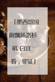 墨西哥国旗飘扬洛杉矶 白宫：看，罪证