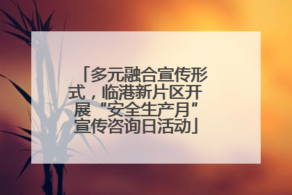 多元融合宣传形式，临港新片区开展“安全生产月”宣传咨询日活动